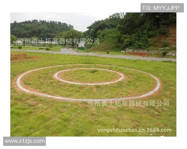 杭州极限运动队战术解析与对比深度剖析