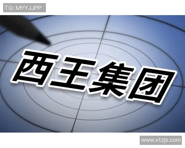 西安篮球队在耐力排名中创下新高引领全国篮球发展新趋势